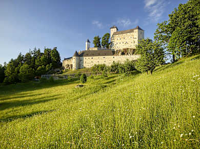 Rappottenstein, Burg Rappottenstein