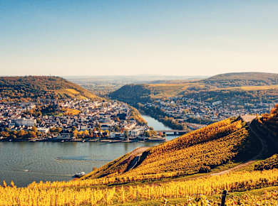 Region Bingen am Rhein