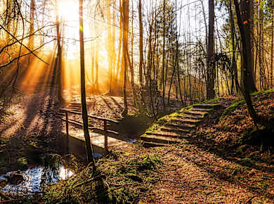 Region Kaiserslautern