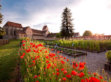 Reichenau, Münster St. Maria und Markus