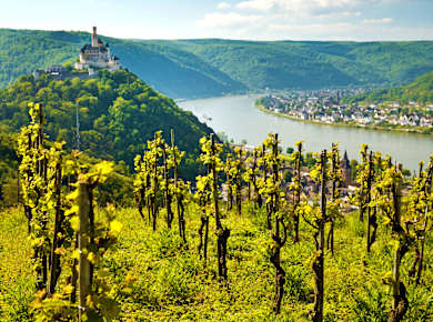 Rheinland-Pfalz, Marksburg