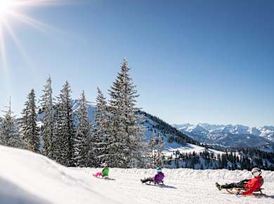 Rottach-Egern, Naturrodelbahn am Wallberg