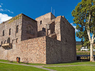 Rüdesheim am Rhein, Rheingauer Weinmuseum Brömserburg