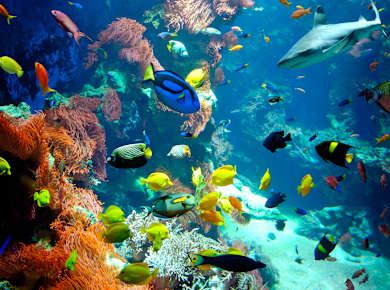 Salzburg, Haus der Natur