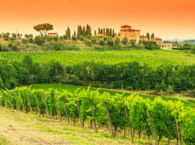 San Casciano Val di Pesa, Ausflug ins Chiantiland