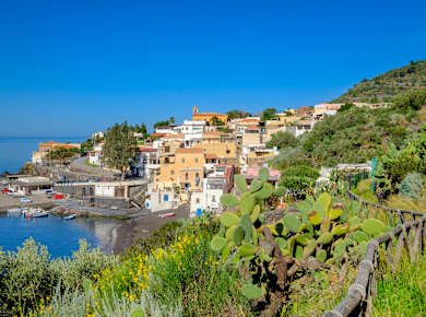 Santa Marina Salina, Salina