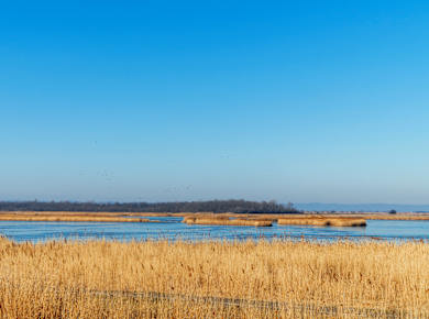 Sarród, Ferto-Hanság Nemzeti Park