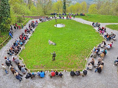 Schillingsfürst, Fürstlicher Falkenhof Schloss Schillingsfürst