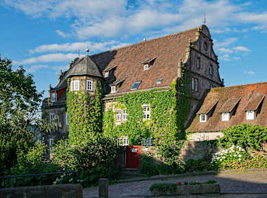 Schlitz, Hinterburg