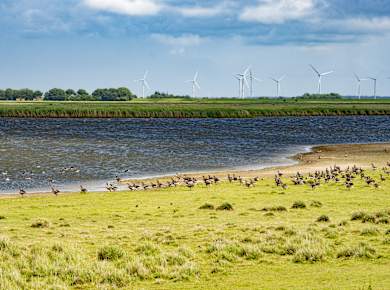 Schlüttsiel, Hauke-Haien-Koog