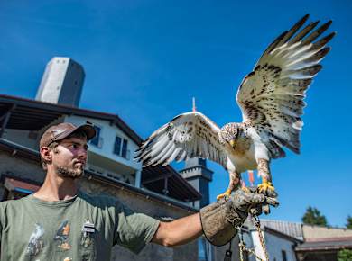 Schmitten, Falkenhof Großer Feldberg im Taunus