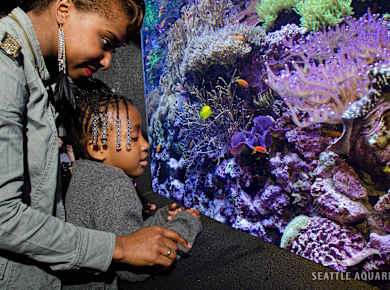 Seattle, WA, Seattle Aquarium