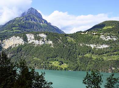 Seelisberg, Rütliwiese