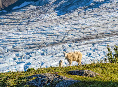 Seward, AK, Kenai Fjords National Park
