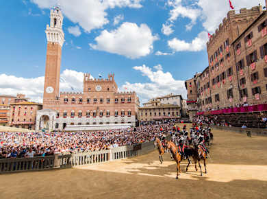 Siena, Palio