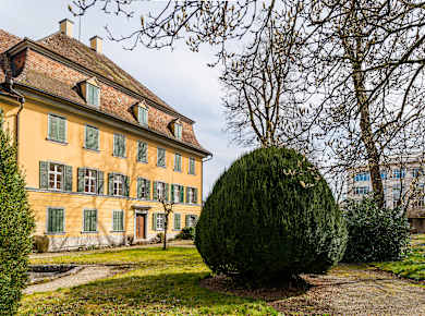 Singen, Archäologisches Hegau-Museum