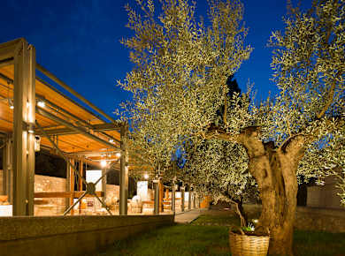 Museum der Olive und des griechischen Olivenöls