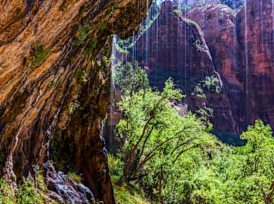 Springdale, UT, Weeping Rock