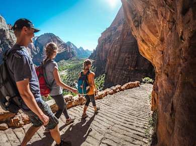 Springdale, UT, Zion National Park