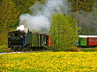 Stainz, Stainzer Flascherlzug