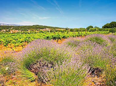 Ebene von Stari Grad