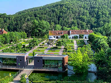Stubenberg am See, Tierwelt Herberstein