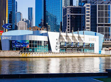 Sydney, Sea Life Sydney Aquarium