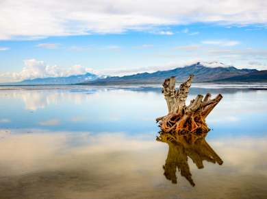 Syracuse, UT, Antelope Island State Park
