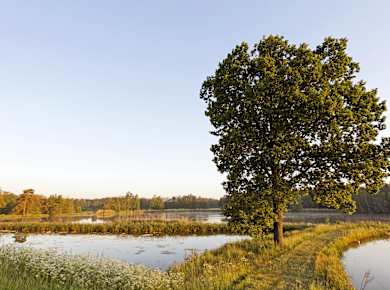 Tirschenreuther Teichpfanne