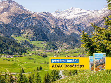 Brenner, Der Sonne entgegen