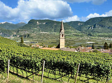 Tramin, Pfarrkirche St. Julitta und Quiricus