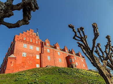 Tranekaer, Tranekær Slot