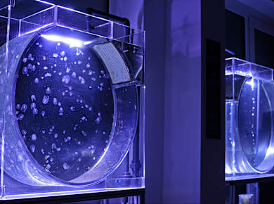 Travemünde, Ostseestation Travemünde