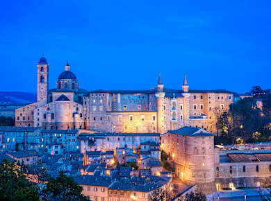 Urbino