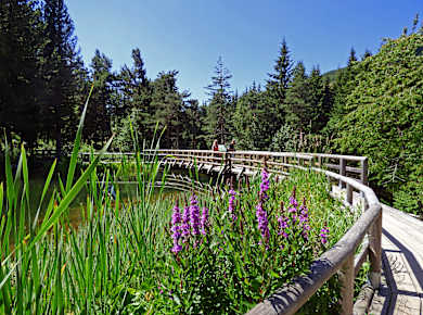 Vason, Botanischer Alpengarten Viotte