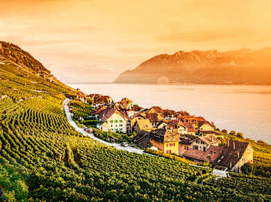 Vevey, Train des Vignes