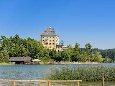Vorderelsenwang / Hof, Schloss Fuschl
