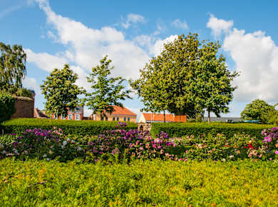 Botanischer Garten Vordingborg