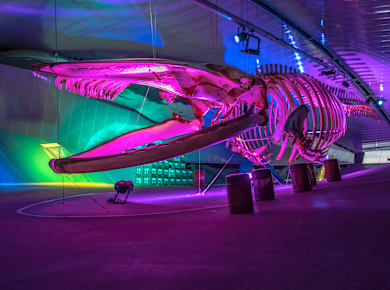 Vrouwenpolder, Deltapark Neeltje Jans