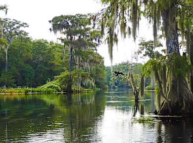Wakulla Springs, Wakulla Springs State Park