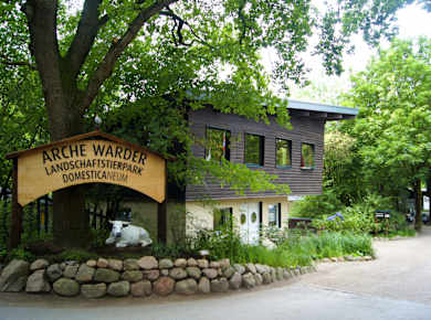 Warder, Arche Warder