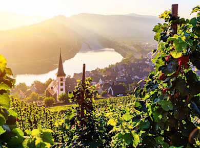 Bremm, Wein- und Touristikregion Moselland