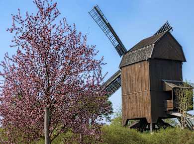 Werder (Havel), Bockwindmühle