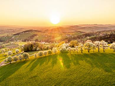 Wieselburg, Moststraße