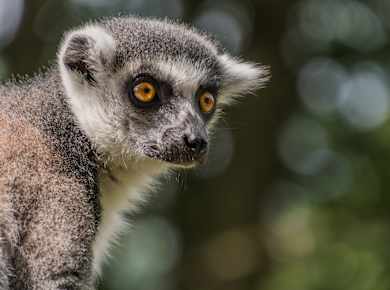 Wismar, Tierpark Wismar