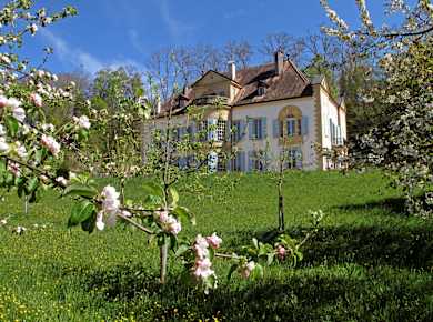 Yverdon-les-Bains, Pro Natura Zentrum