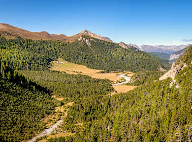 Zernez, Schweizerischer Nationalpark