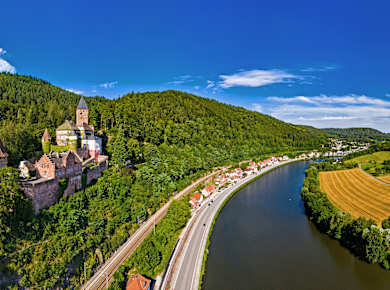 Zwingenberg, Schloss Zwingenberg