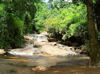 Doisuthepnationalpark0408b