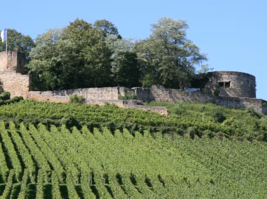 Weinsberg, Burgruine Weibertreu